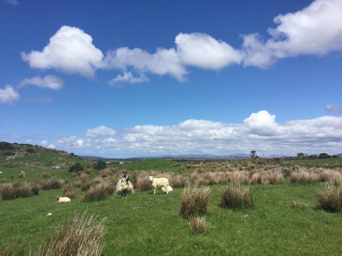 Robins Nest Bed & Breakfast Ardara